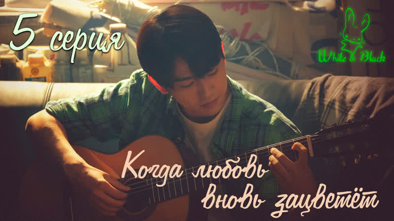 My Love Bloom, Когда любовь вновь