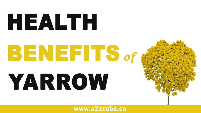 Health Benefits of