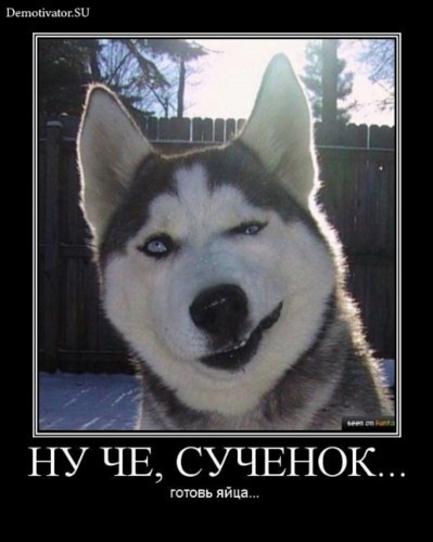 №187, Александр Либенко, Сортавала №187, Александр Либенко, Сортавала