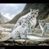 Аватар: Марина Каптиева
