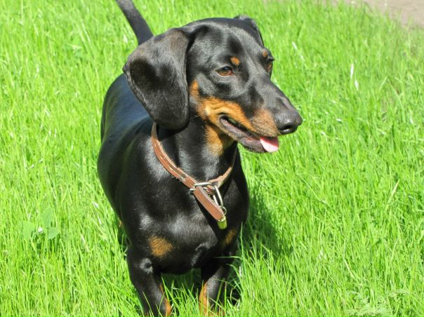 №133, Аня Старченко, 38 лет, Новосибирск №133, Аня Старченко, 38 лет, Новосибирск