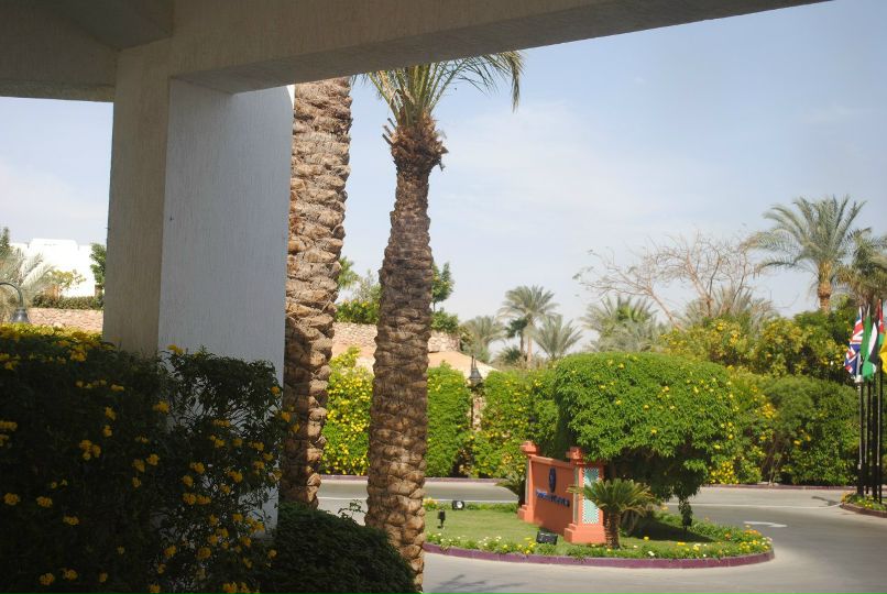 Денис Малышев | Владимир