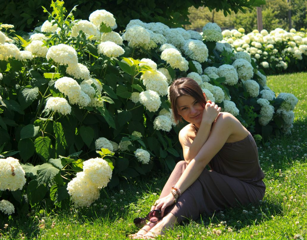 Иоланна Снет | Chicago