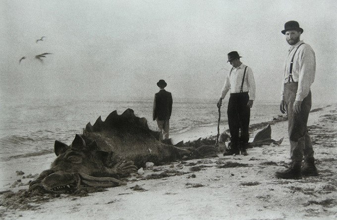 Татьяна Бояркина | Новосибирск