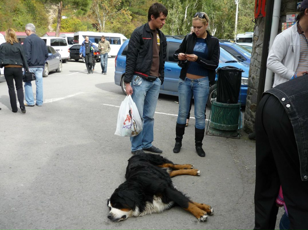 Евгений Кокошкин | Симферополь