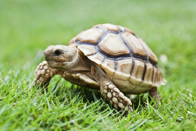 Евгений Пятигорский | Москва