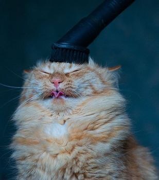 Анастасия Рогова | Москва