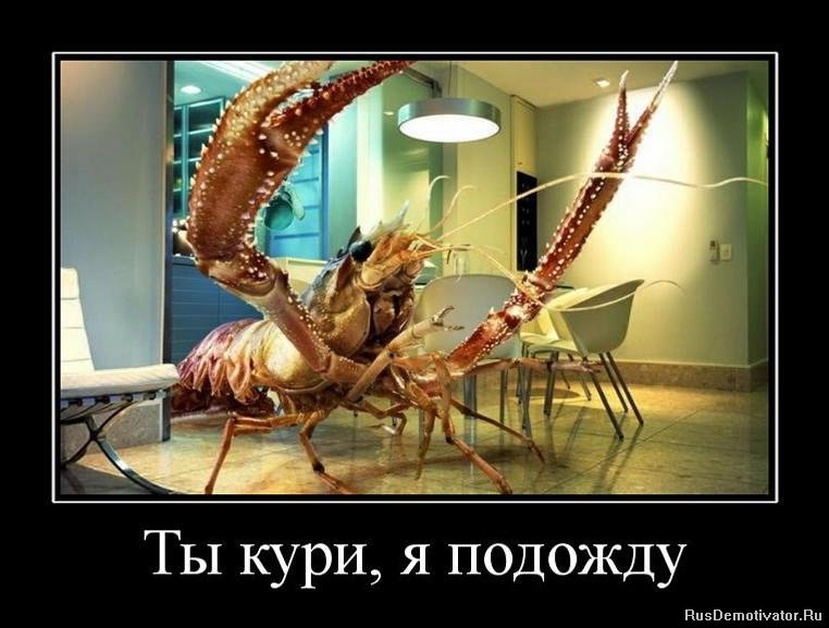 Виталий Глущенко REST | Киев