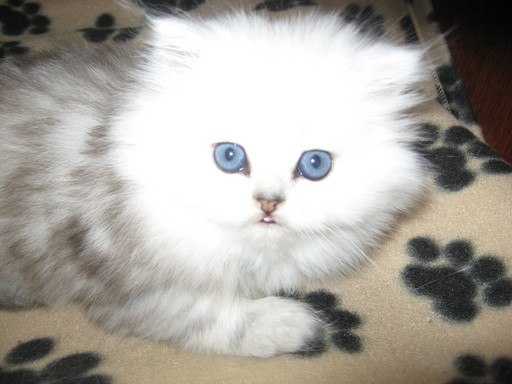 Тамара Филиппова | Санкт-Петербург