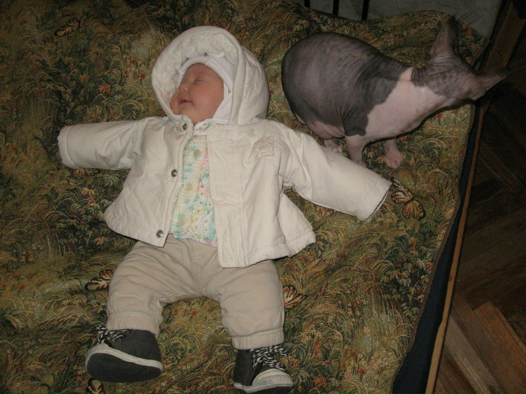 Наталья Адонина | Санкт-Петербург