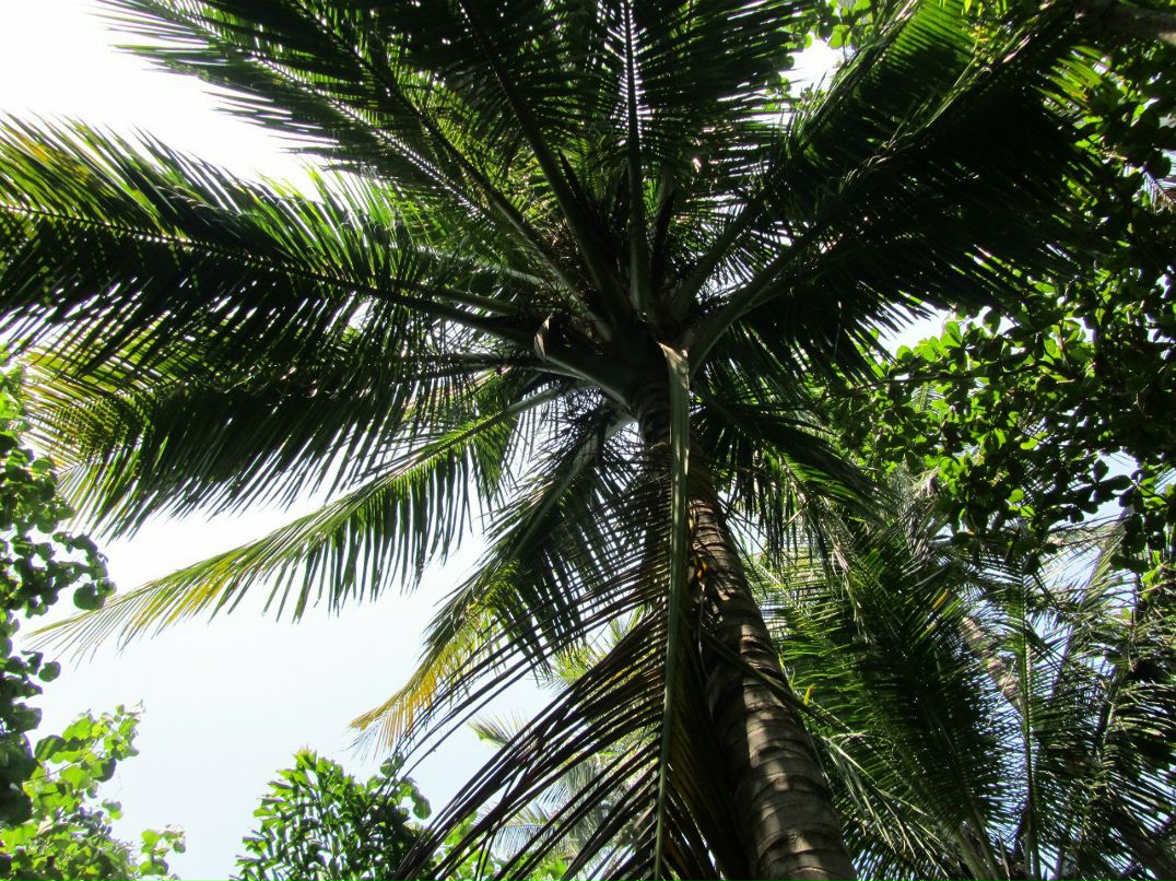 Антон Куссев | Москва