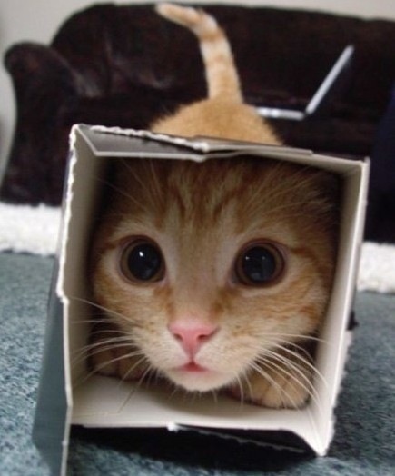 №32, Артём, Симферополь №32, Артём, Симферополь