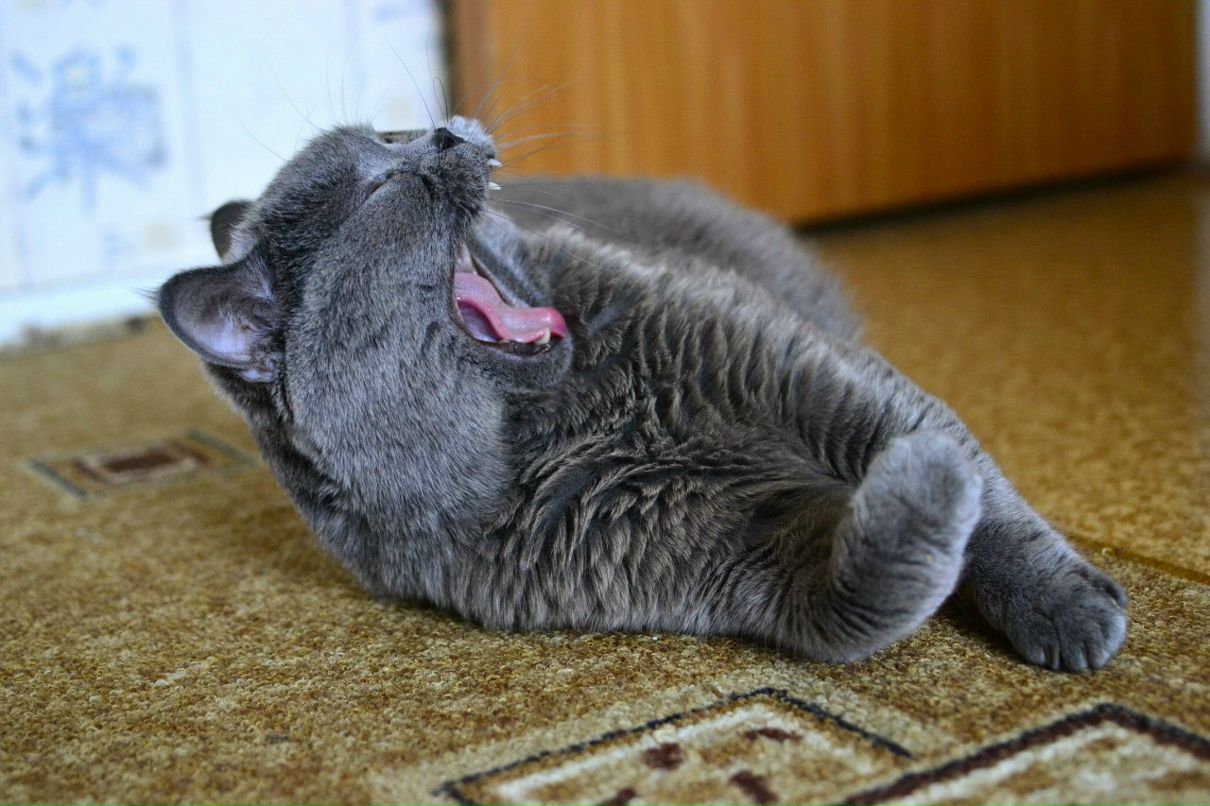 Марина Кузнецова | Москва