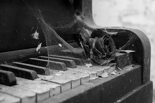 Ольга Поверенная | Каменское / Днепродзержинск