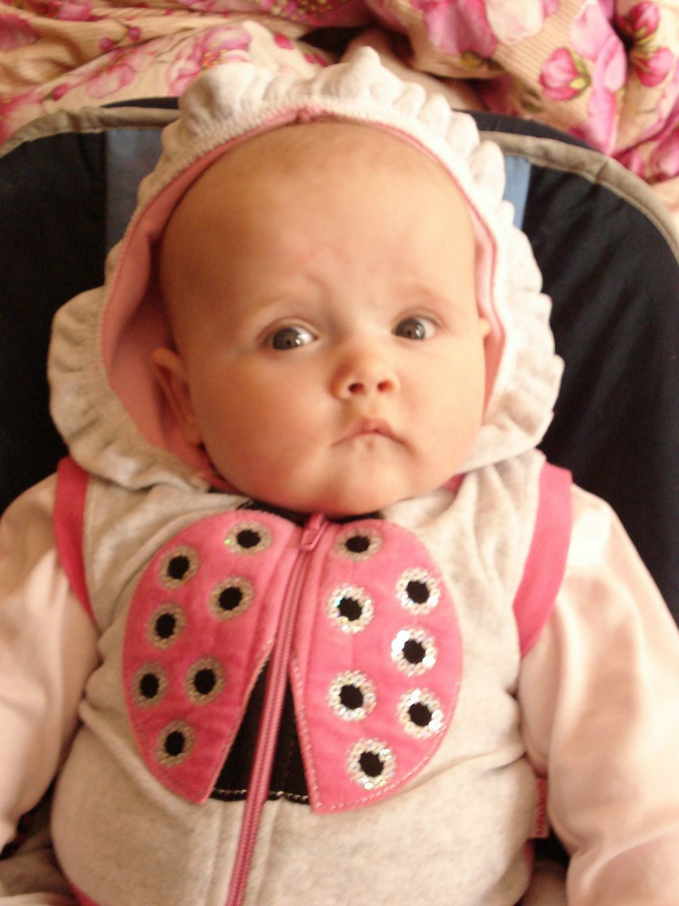 Елена Процюк | Санкт-Петербург