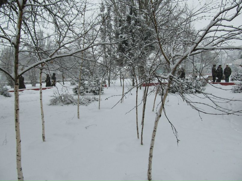 Владимир Коркош васильевич | Мариуполь