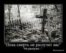 Фотография Гарик Мошаров