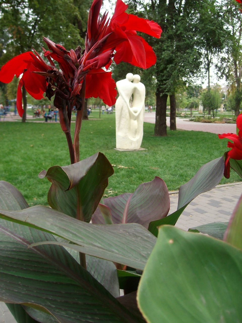 Алекса Волкова | Roma