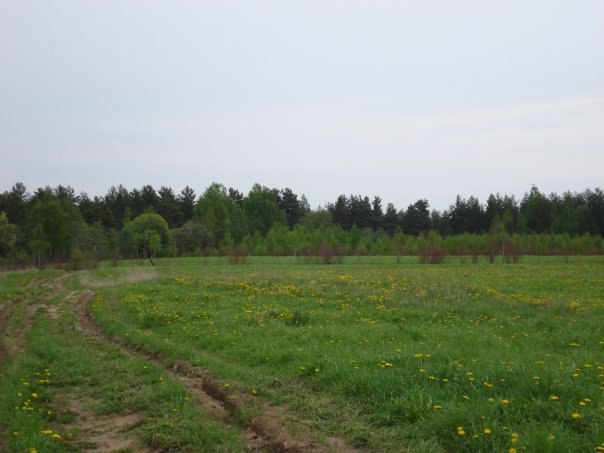 Kira Mitavskaya М | Санкт-Петербург