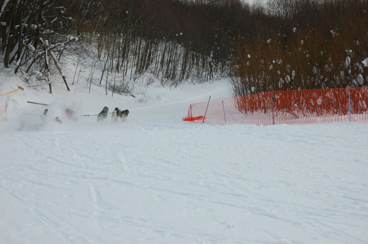 Алёна Шатских | Санкт-Петербург