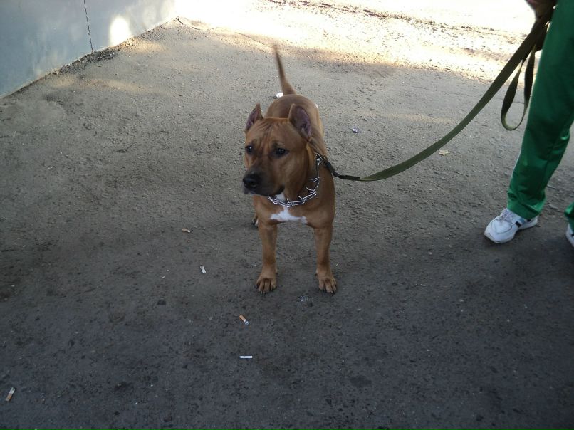 Валерий Валерьевич | 