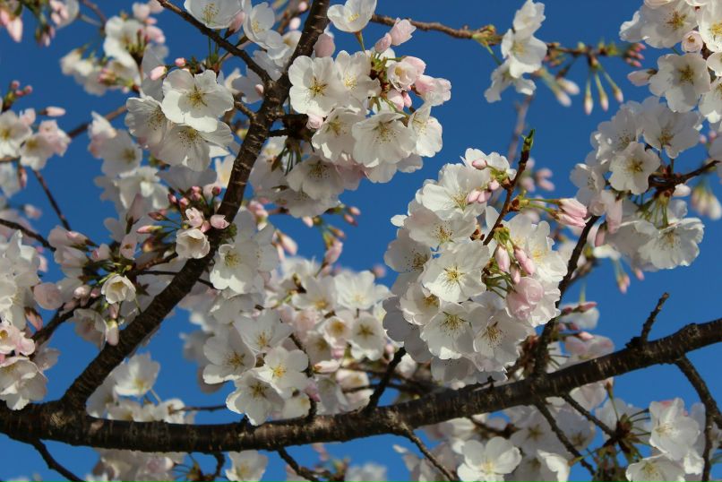 Валентина Кингсолвер | Albuquerque