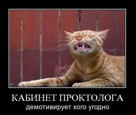 Анна Яковлева | Санкт-Петербург