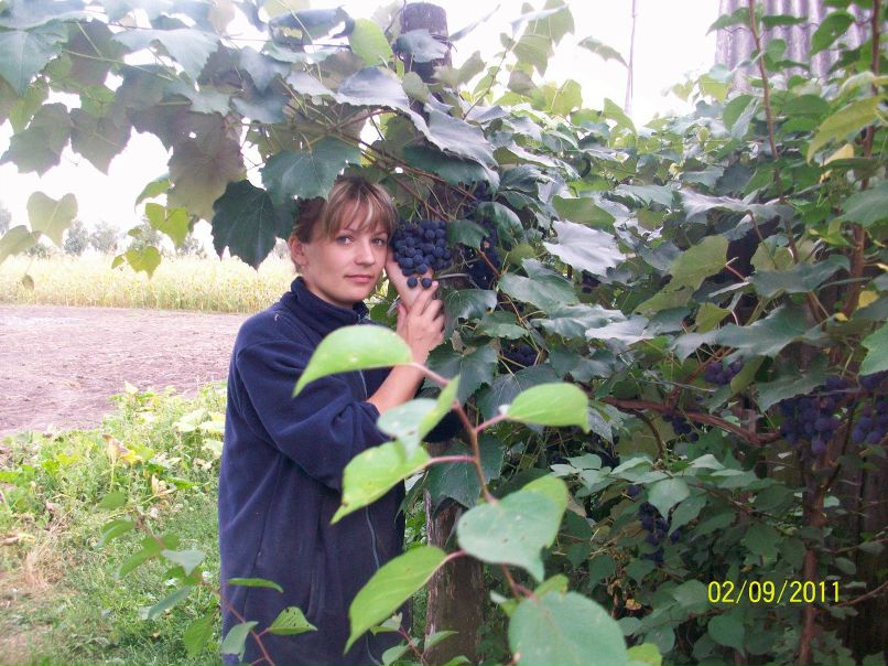 Наташа Ващенко | Харьков