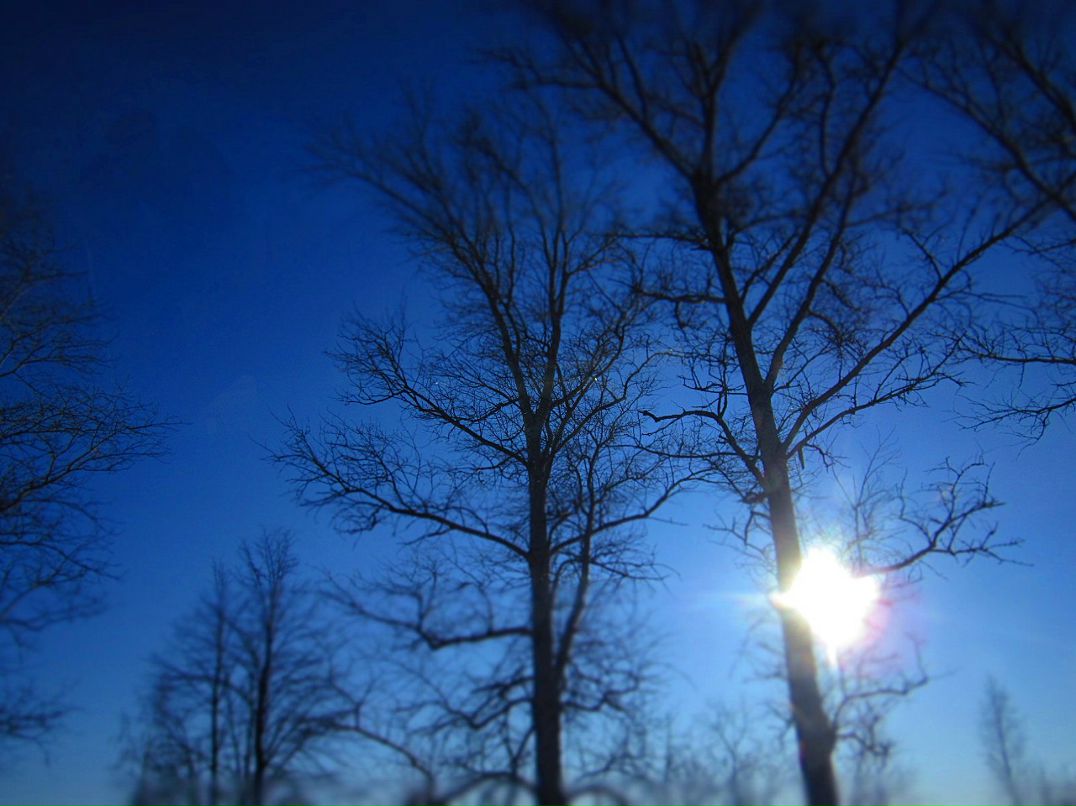 Оксана Гулай | Белгород