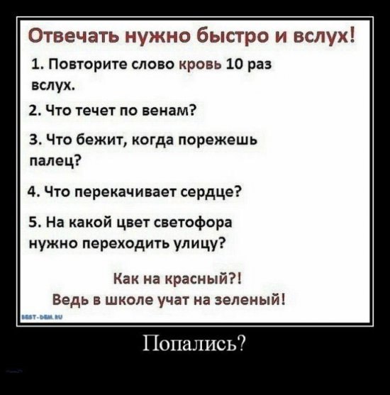 Александр Куянов | Новосибирск