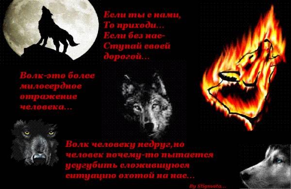 Зарина Смирнова фотография #1