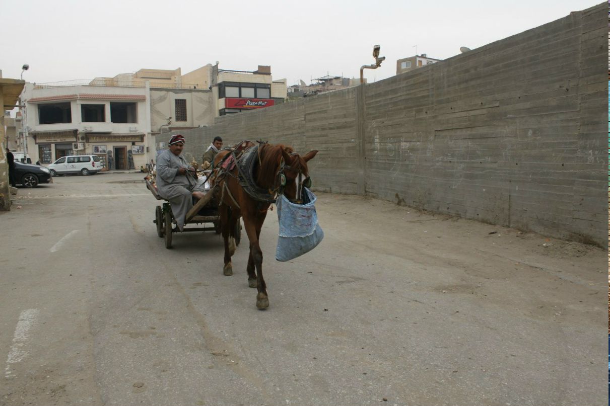 Татьяна Ромашина | New York City