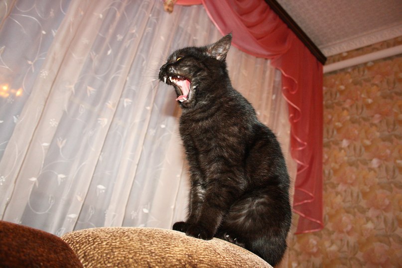 Евгения Власова | Новосибирск