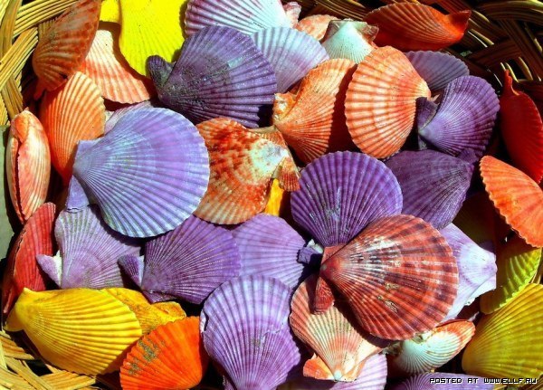 Анна Проскура | Nürnberg