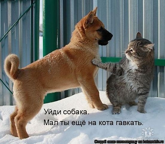 №146, Максим Романцов, 36 лет, Амвросиевка №146, Максим Романцов, 36 лет, Амвросиевка