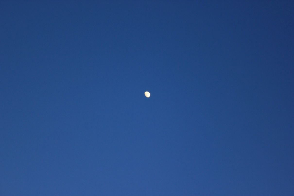 Александр Хахонов | Ростов-на-Дону