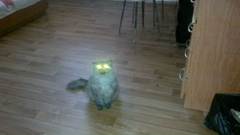 Кристина Ильина | Минусинск