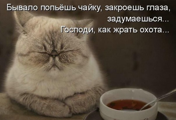 Инна Козинская | Санкт-Петербург