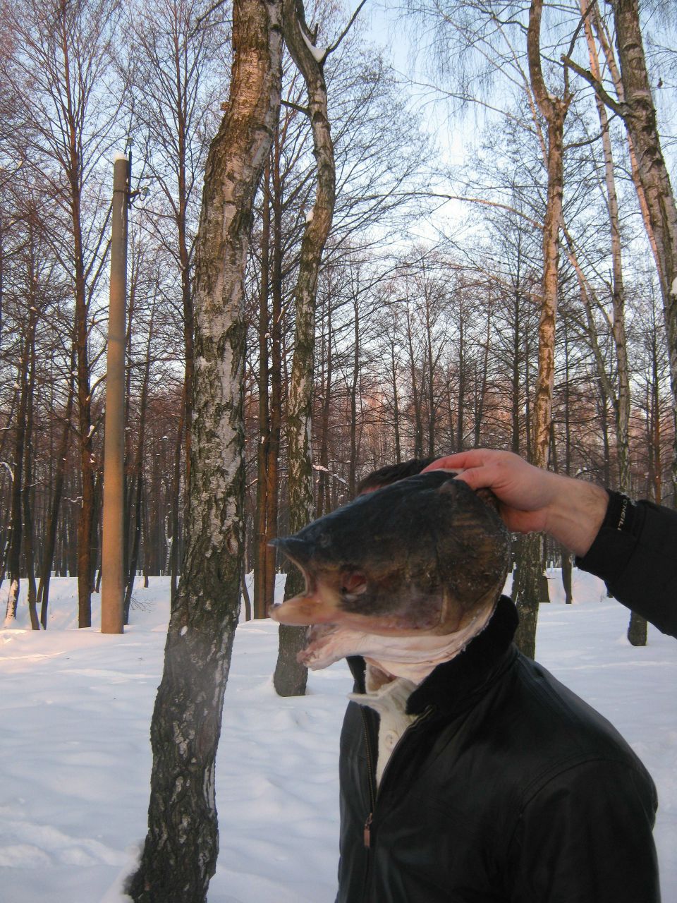 Саша Давидюк | 