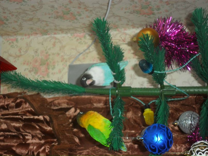 Василий Злобин | Санкт-Петербург