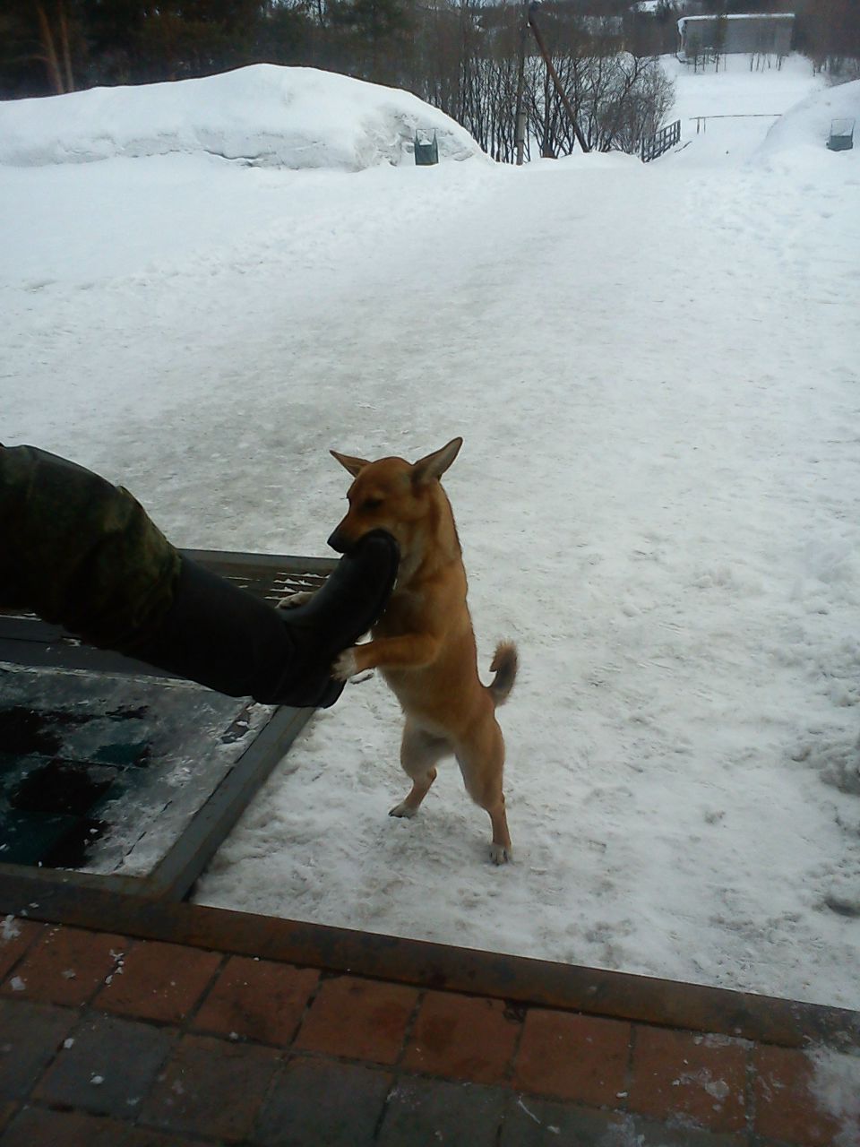 Сергей Никитин Vinsent Vega | Москва