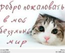 Фотография Николай Кокарев