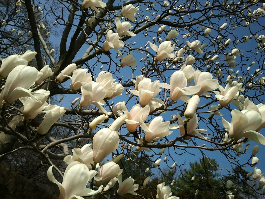 Игорь Панов | Santo Domingo