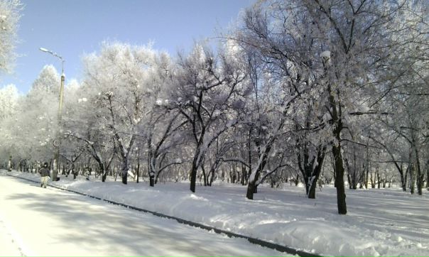 №15, Жанна Замаева, 32 года, Иркутск №15, Жанна Замаева, 32 года, Иркутск