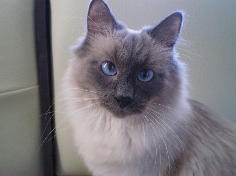 Анна Наздарская | Киров