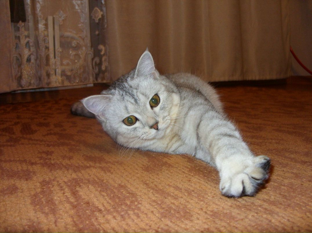 Екатерина Чеботаева | Кирово-Чепецк