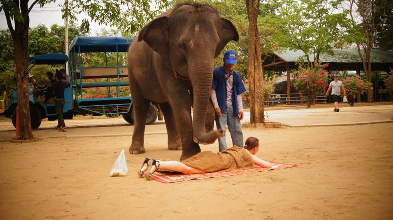 Татьяна Потапкина | 