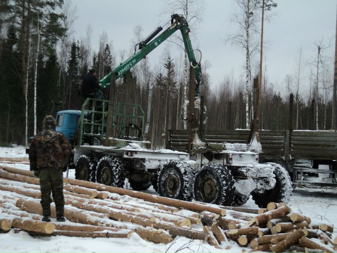 Павел Жаркофф | Санкт-Петербург