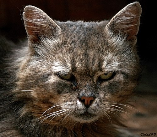 Андрей Туман | Екатеринбург