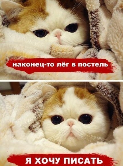 Юлия Мельникова | Москва